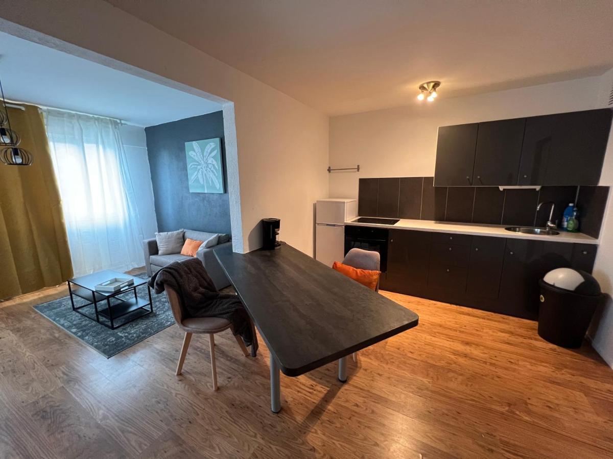 Mon Palmier Grand Appartement Parking Un-Sejour-A-Part Metz Exteriör bild